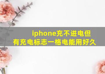 iphone充不进电但有充电标志一格电能用好久