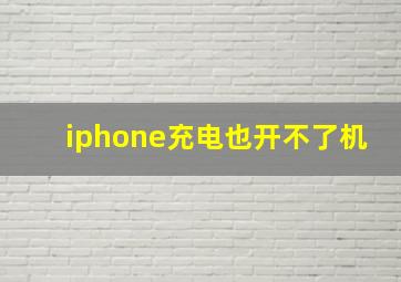 iphone充电也开不了机