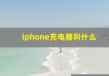 iphone充电器叫什么