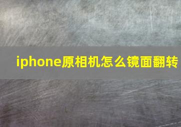 iphone原相机怎么镜面翻转