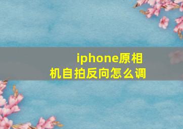 iphone原相机自拍反向怎么调