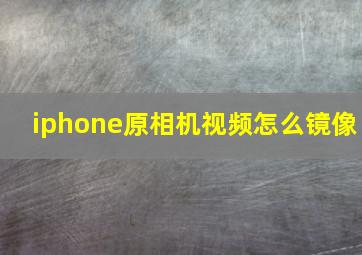 iphone原相机视频怎么镜像