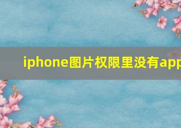 iphone图片权限里没有app