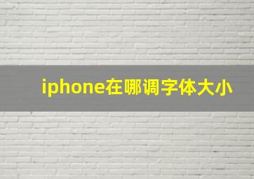 iphone在哪调字体大小