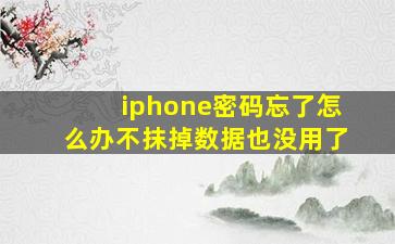 iphone密码忘了怎么办不抹掉数据也没用了