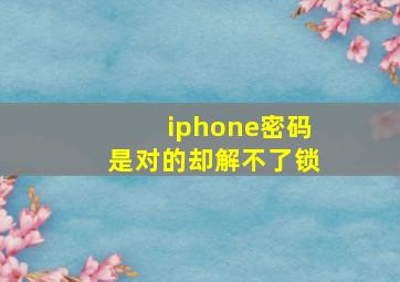 iphone密码是对的却解不了锁