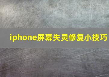 iphone屏幕失灵修复小技巧