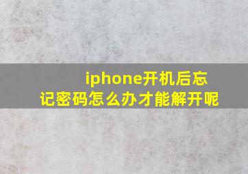 iphone开机后忘记密码怎么办才能解开呢