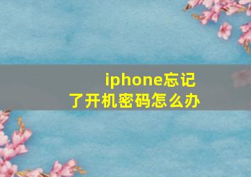 iphone忘记了开机密码怎么办