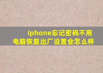 iphone忘记密码不用电脑恢复出厂设置会怎么样