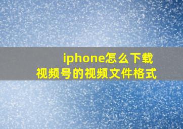 iphone怎么下载视频号的视频文件格式