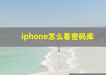 iphone怎么看密码库