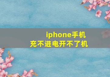 iphone手机充不进电开不了机