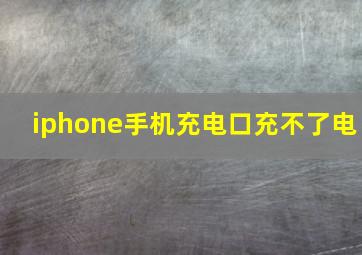 iphone手机充电口充不了电