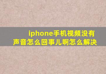 iphone手机视频没有声音怎么回事儿啊怎么解决