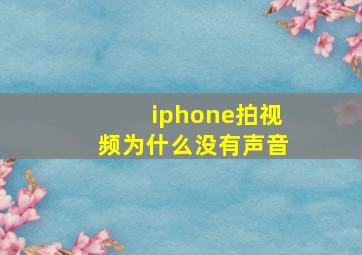 iphone拍视频为什么没有声音