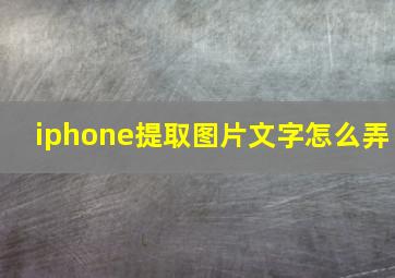 iphone提取图片文字怎么弄