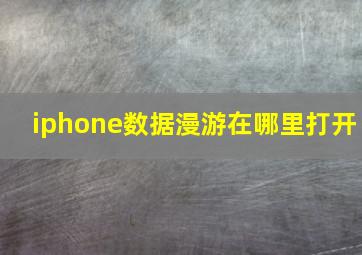 iphone数据漫游在哪里打开