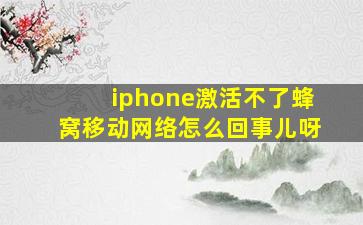 iphone激活不了蜂窝移动网络怎么回事儿呀