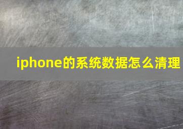 iphone的系统数据怎么清理