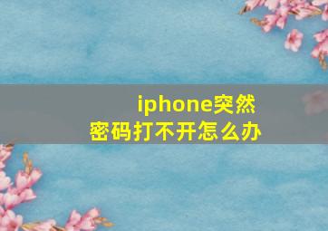 iphone突然密码打不开怎么办