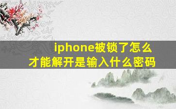 iphone被锁了怎么才能解开是输入什么密码