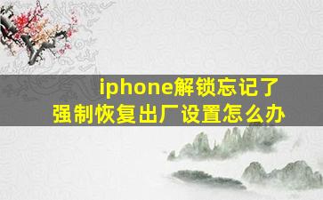 iphone解锁忘记了强制恢复出厂设置怎么办