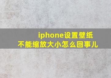 iphone设置壁纸不能缩放大小怎么回事儿