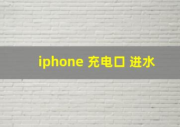 iphone 充电口 进水