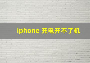 iphone 充电开不了机