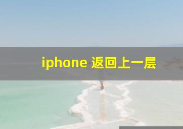 iphone 返回上一层