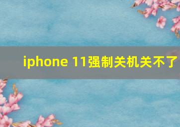 iphone 11强制关机关不了