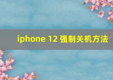 iphone 12 强制关机方法