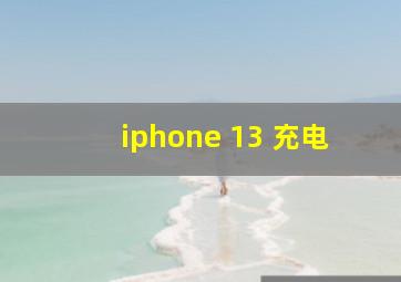 iphone 13 充电