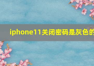 iphone11关闭密码是灰色的