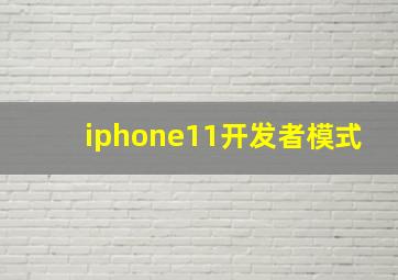 iphone11开发者模式