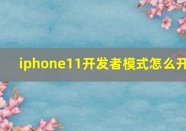 iphone11开发者模式怎么开