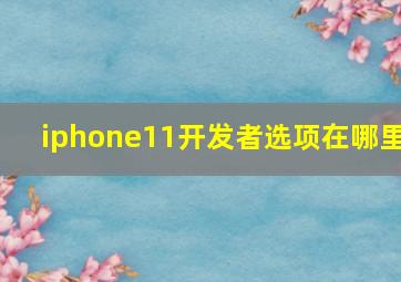 iphone11开发者选项在哪里