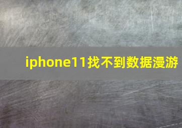 iphone11找不到数据漫游