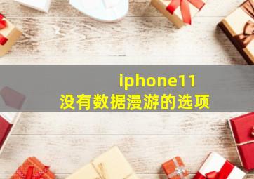 iphone11没有数据漫游的选项