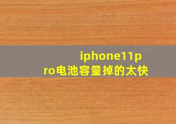 iphone11pro电池容量掉的太快