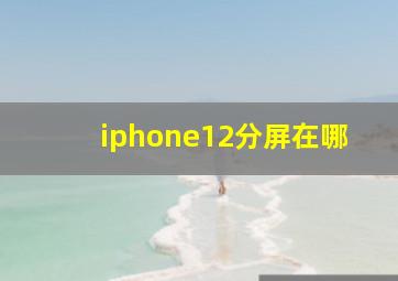 iphone12分屏在哪