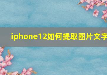 iphone12如何提取图片文字