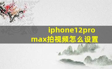 iphone12pro max拍视频怎么设置