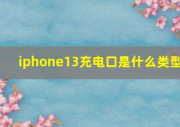 iphone13充电口是什么类型