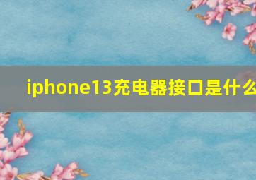 iphone13充电器接口是什么