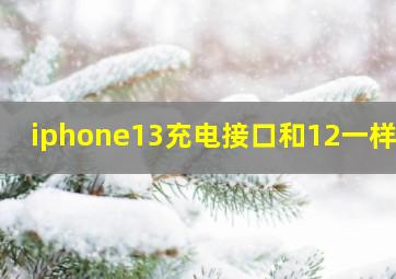 iphone13充电接口和12一样吗