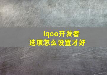 iqoo开发者选项怎么设置才好