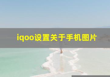 iqoo设置关于手机图片