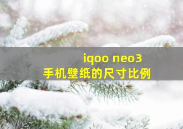 iqoo neo3手机壁纸的尺寸比例